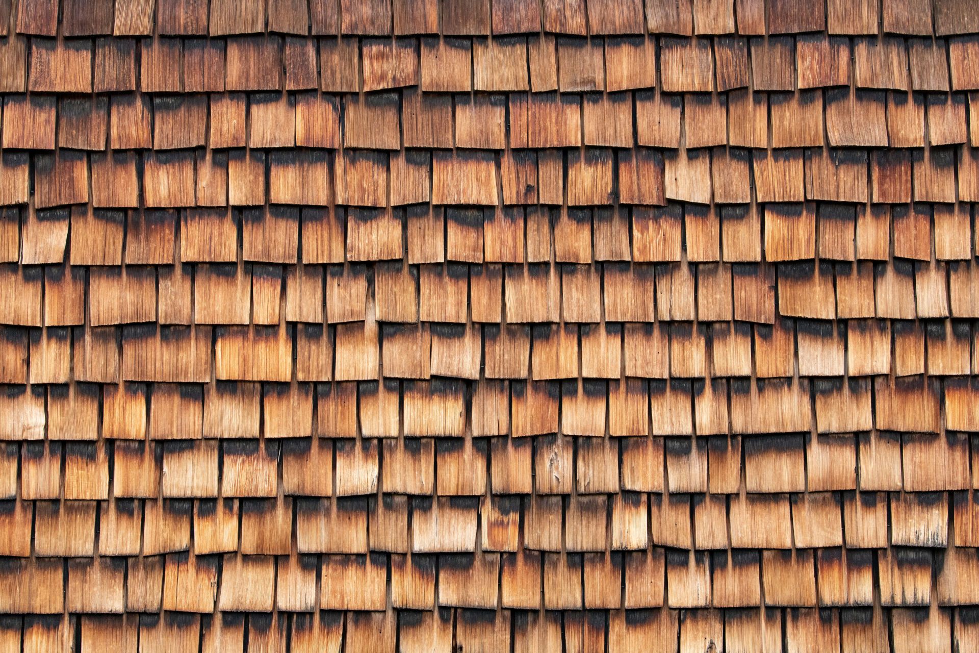 cedar shake shingles