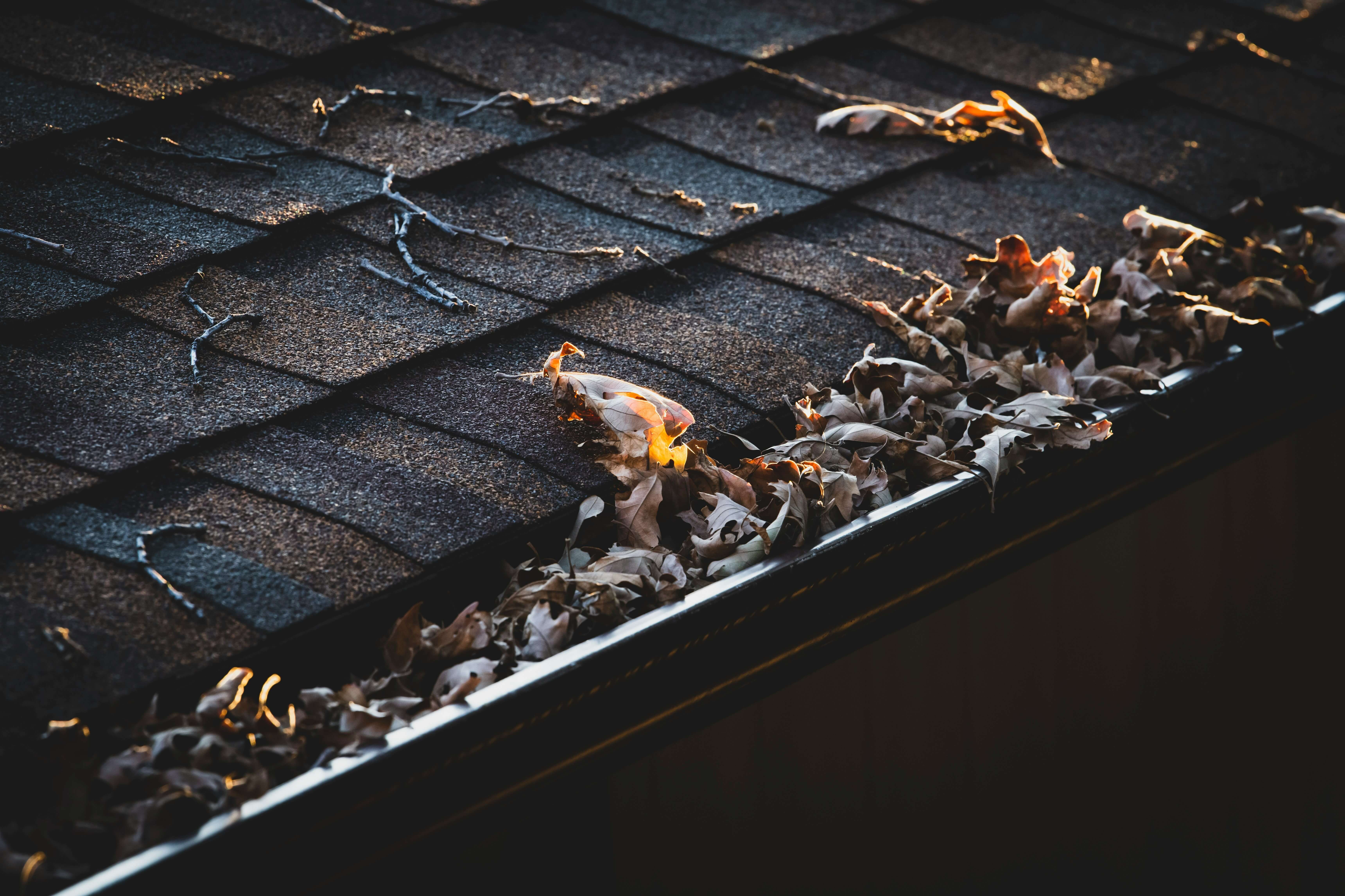 Home with cedar shake roof